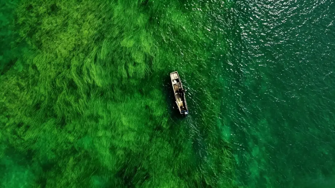 3k碧绿湖水壁纸｜航拍小船背景图片 - 清新自然风景「哲风壁纸」