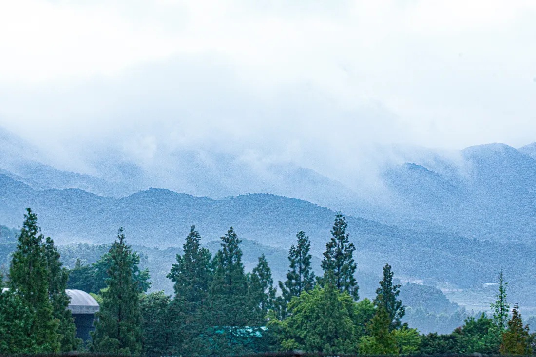 6k雨过天晴壁纸｜云雾山林背景图片 - 清新自然山景「哲风壁纸」