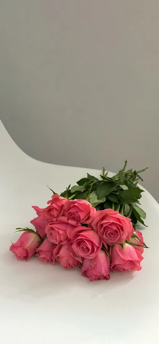 粉玫瑰手机壁纸｜简约干净背景图片 - 浪漫清新鲜花花束「哲风壁纸」
