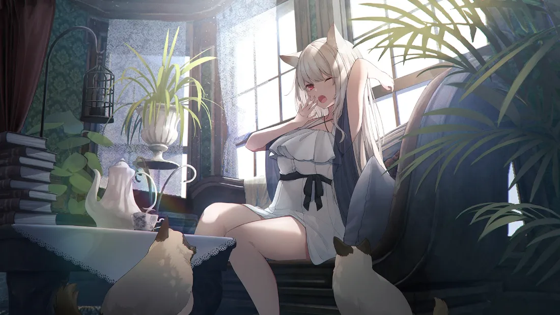 2k白发猫耳少女壁纸｜暖光室内绿植背景图片 - 二次元插画「哲风壁纸」