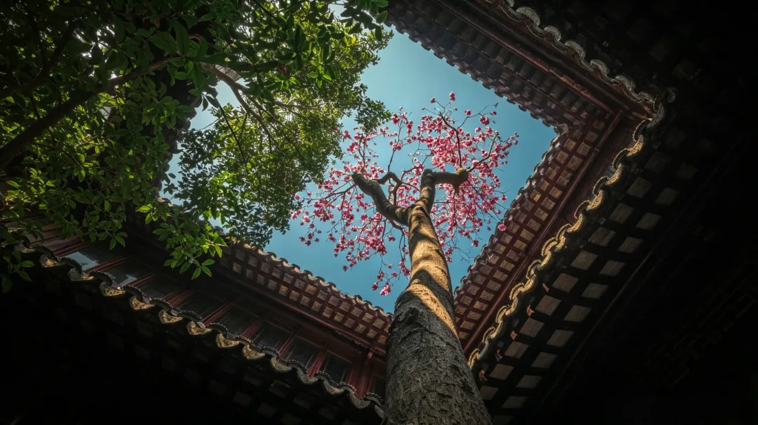 3k中式天井壁纸｜花树蓝天背景图片 - 自然治愈风景「哲风壁纸」