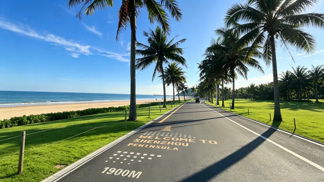 3k滨海椰林公路壁纸｜夏日海景背景图片 - 治愈清新风光「哲风壁纸」
