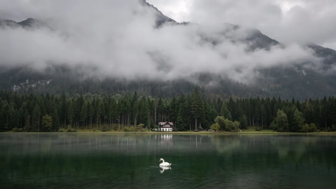 3k云雾湖泊壁纸｜森林山脉背景图片 - 天鹅治愈风景「哲风壁纸」