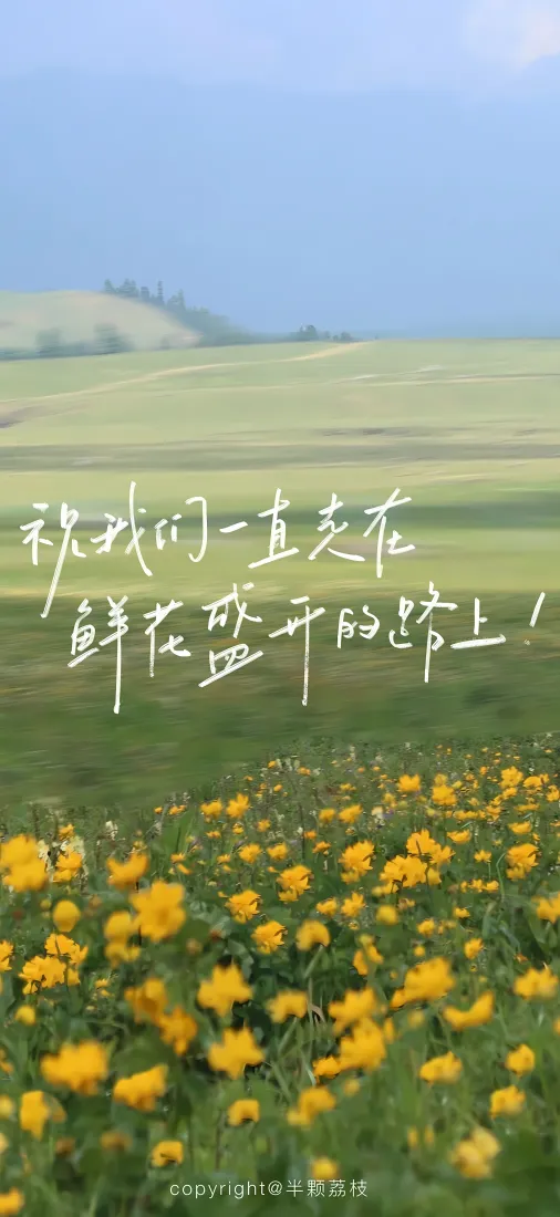 菊花草地手机壁纸｜蓝天远山郊野背景图片 - 清新治愈自然风光「哲风壁纸」