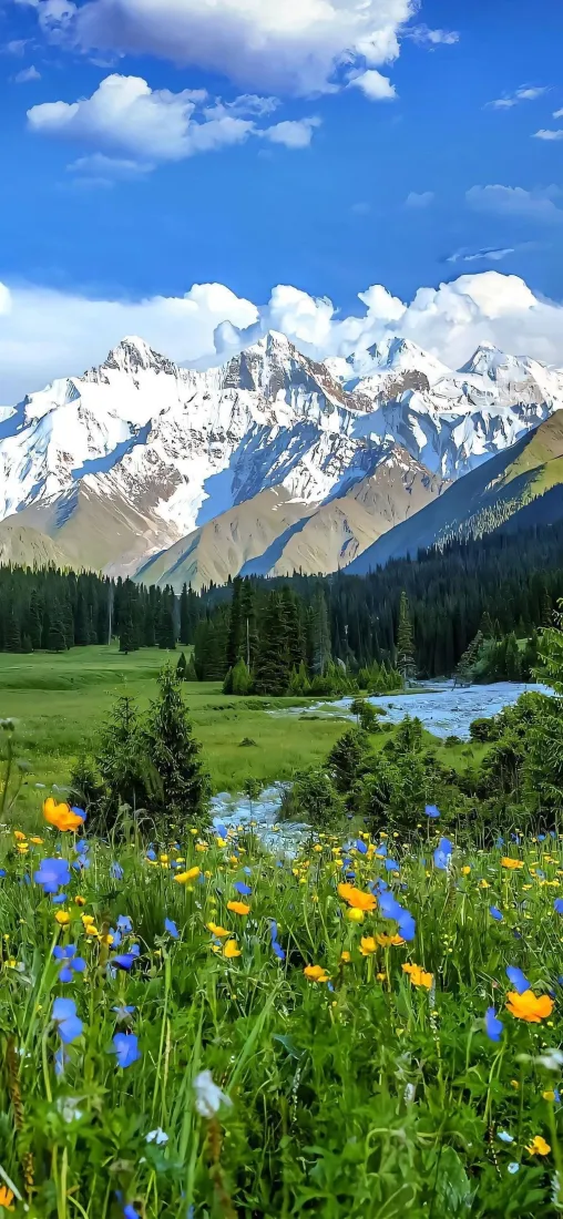 雪山花海手机壁纸｜草原河流森林背景图片 - 高原自然风光「哲风壁纸」