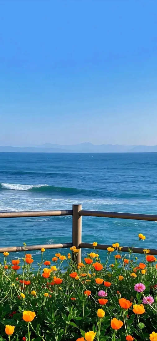 海边花海手机壁纸｜蓝天海岸背景图片 - 清新自然风光「哲风壁纸」
