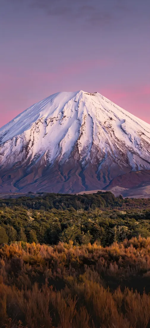 富士山手机壁纸｜雪山森林晚霞背景图片 - 4k超清自然风景「哲风壁纸」