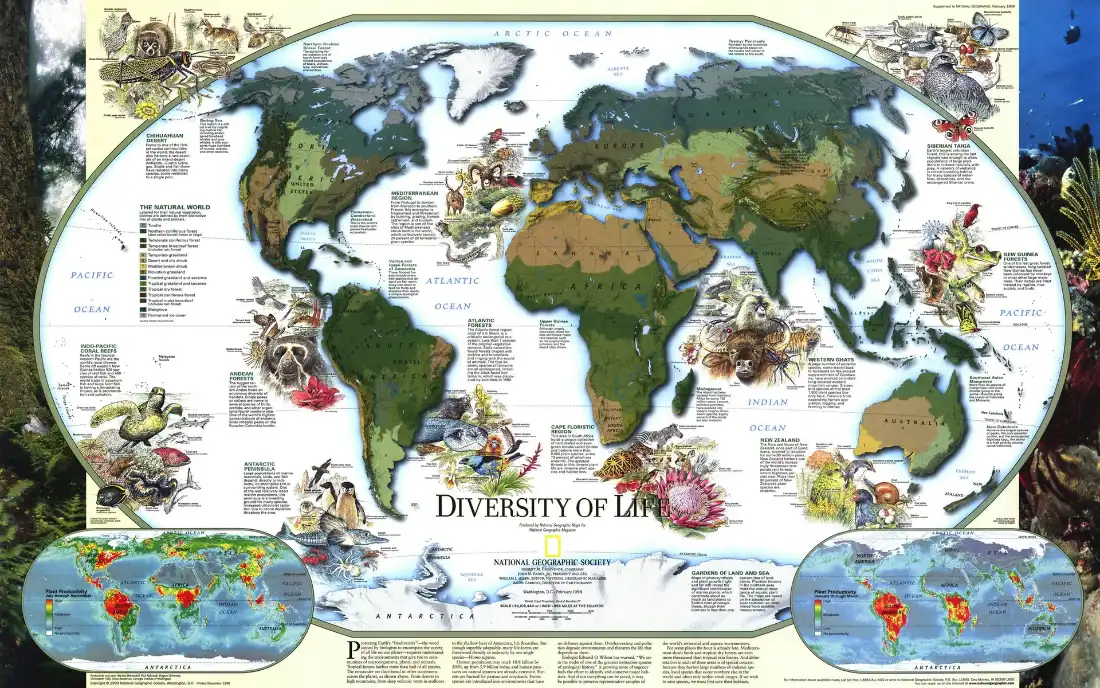 2k世界生物多样性地图壁纸｜地理科普背景图片 - 世界版图「哲风壁纸」