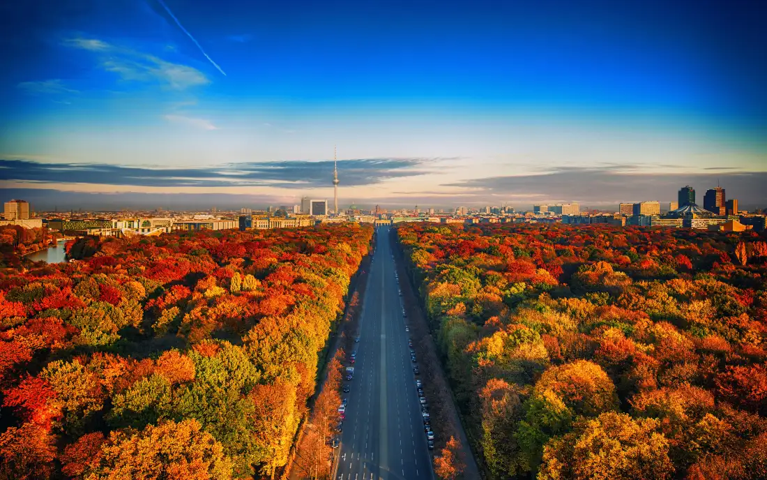 6k秋日林间公路壁纸｜枫树林城市背景图片 - 高画质蓝天秋景「哲风壁纸」