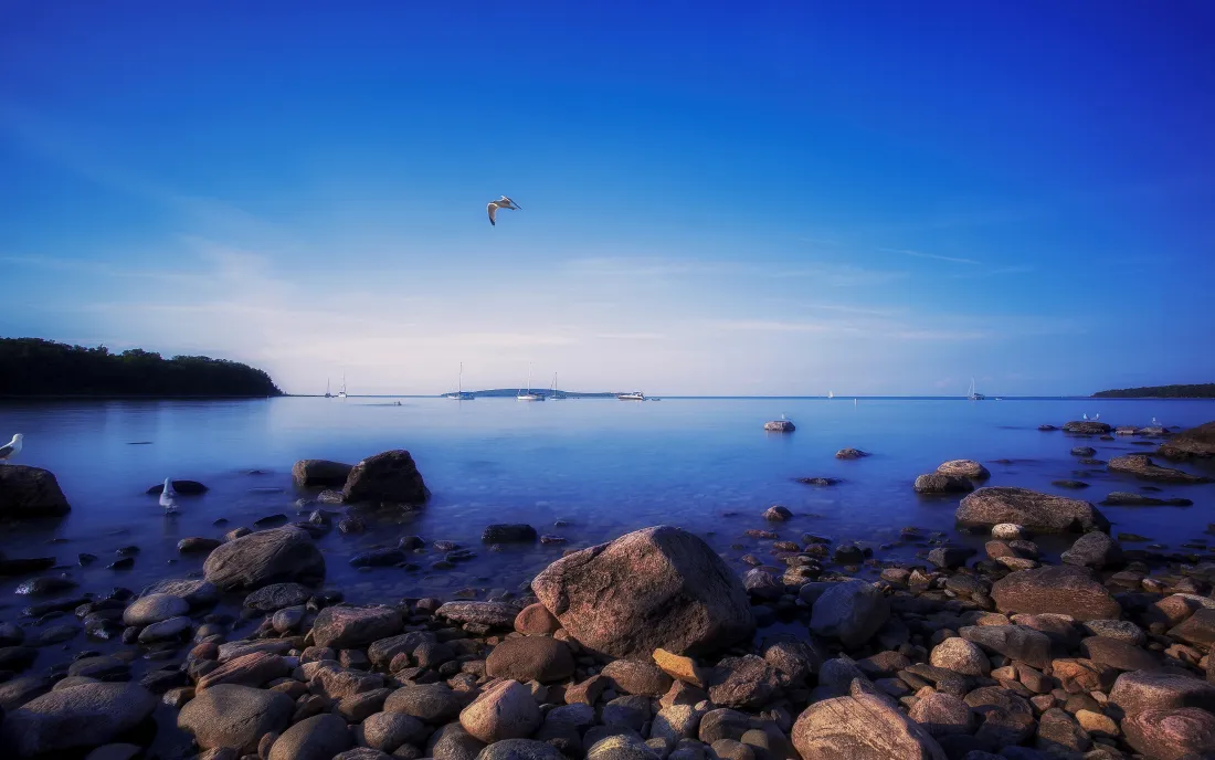4k海岸礁石壁纸｜蓝天湖泊背景图片 - 飞鸟浅滩景致「哲风壁纸」