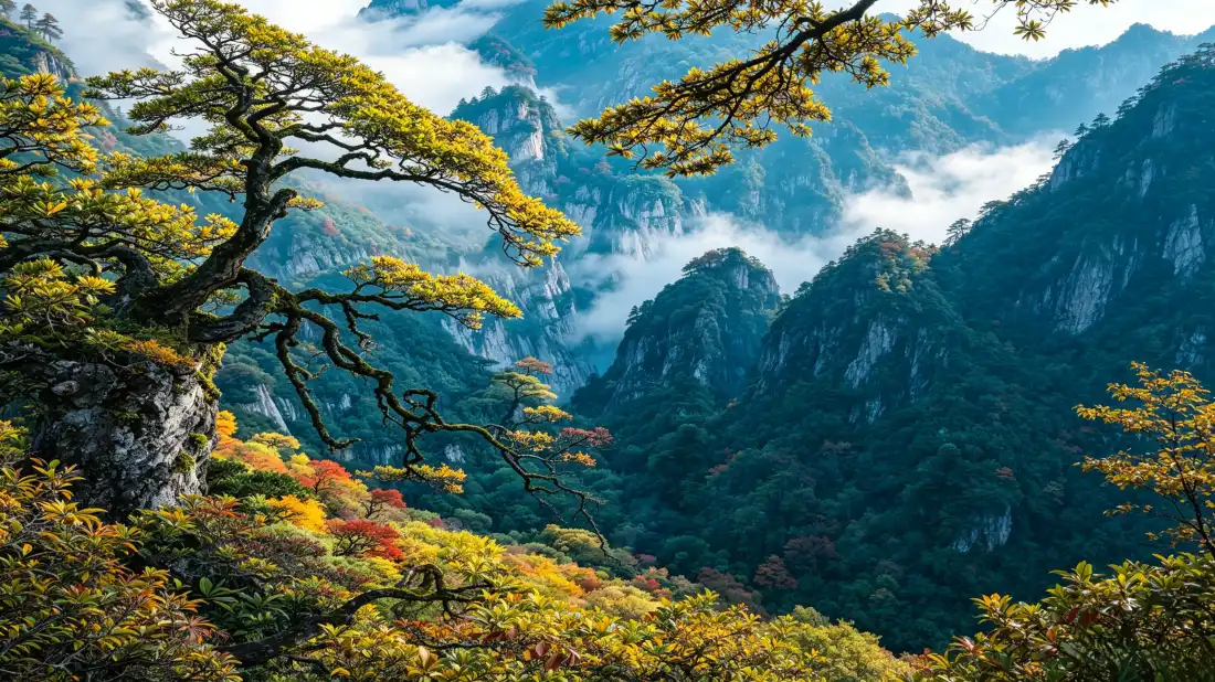 3k秋日群山云海壁纸｜云雾山林背景图片 - 自然美景「哲风壁纸」