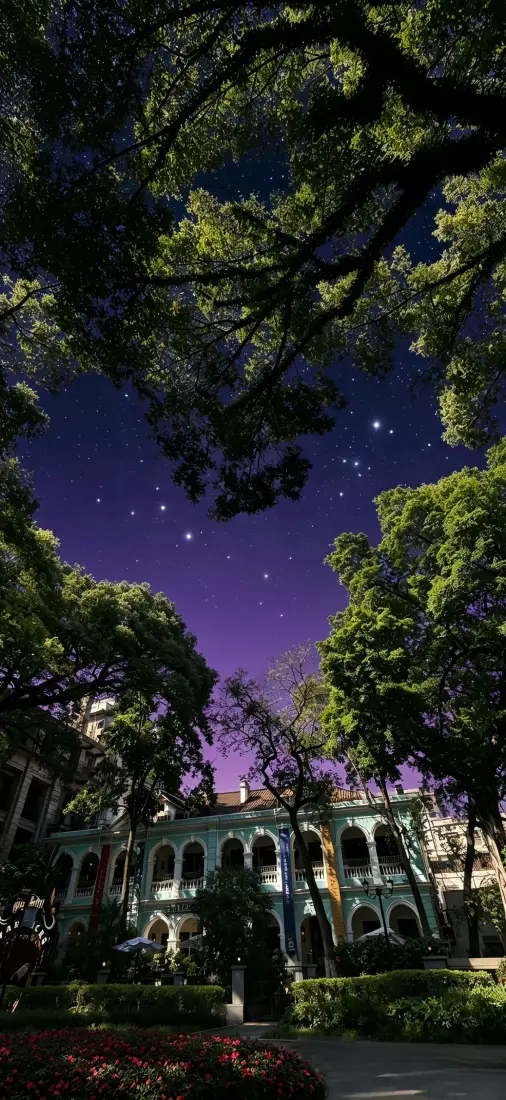 公园星空手机壁纸｜绿植欧式建筑背景图片 - 高清质感「哲风壁纸」