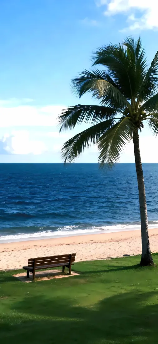 海边沙滩手机壁纸｜海滨风光背景图片 - 椰子树长椅蓝天「哲风壁纸」