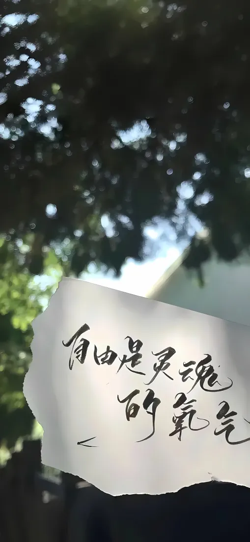 励志手写文字手机壁纸｜树荫光斑背景图片 - 自由正能量短句「哲风壁纸」