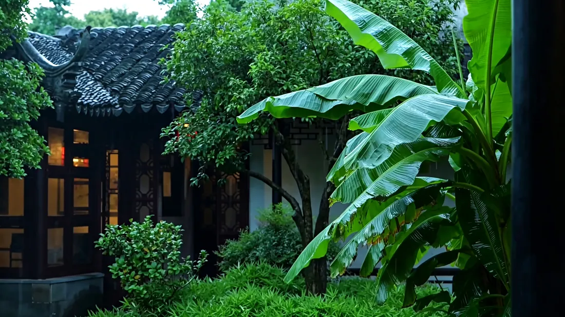 3k芭蕉壁纸｜江南中式古宅庭院背景图片 - 绿色护眼「哲风壁纸」