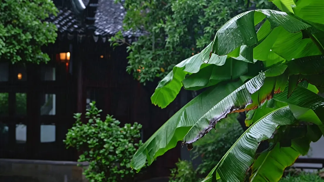 3k芭蕉壁纸｜中式庭院背景图片 - 绿色护眼清新自然「哲风壁纸」