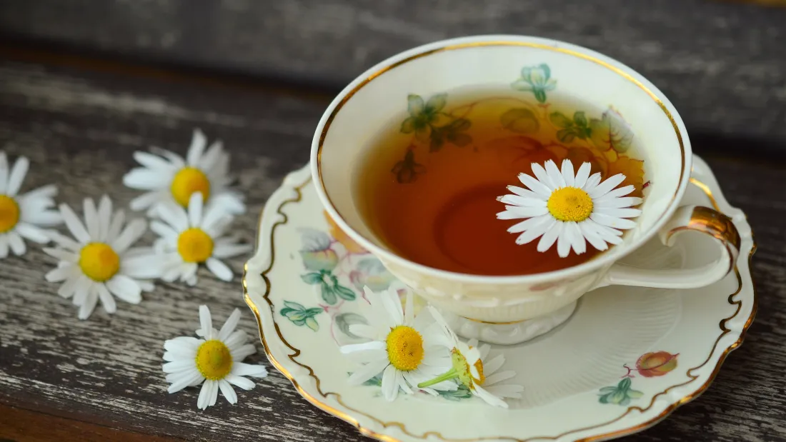 4k菊花茶壁纸｜美味休闲茶饮背景图片 - 清新雏菊下午茶「哲风壁纸」