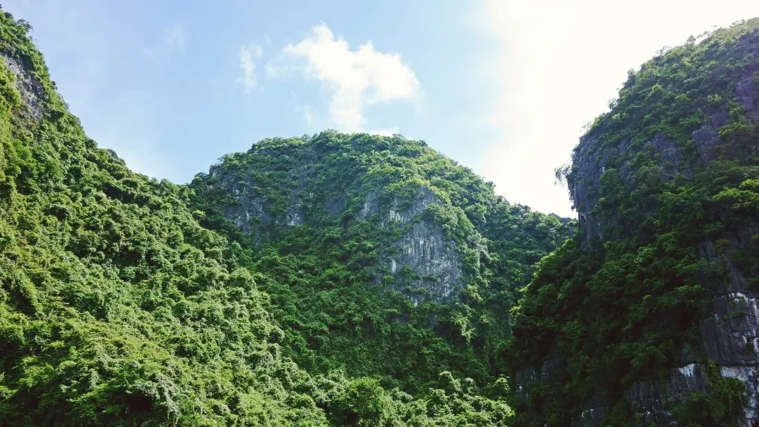4k青山壁纸｜自然山林背景图片 - 4K超清无损画质「哲风壁纸」
