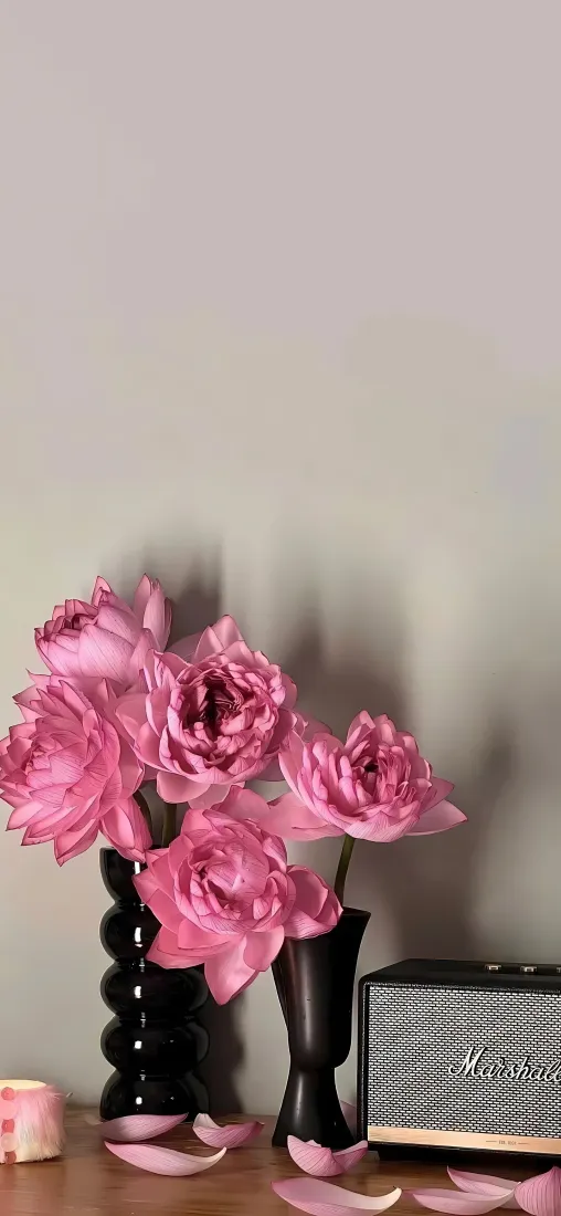 粉色玫瑰花束手机壁纸｜简约家居背景图片 - 桌面装饰陈设「哲风壁纸」
