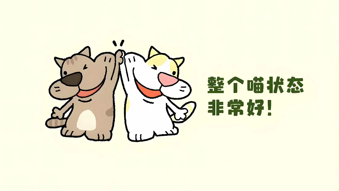 2k搞怪小猫壁纸｜励志可爱背景图片 - 状态超好「哲风壁纸」