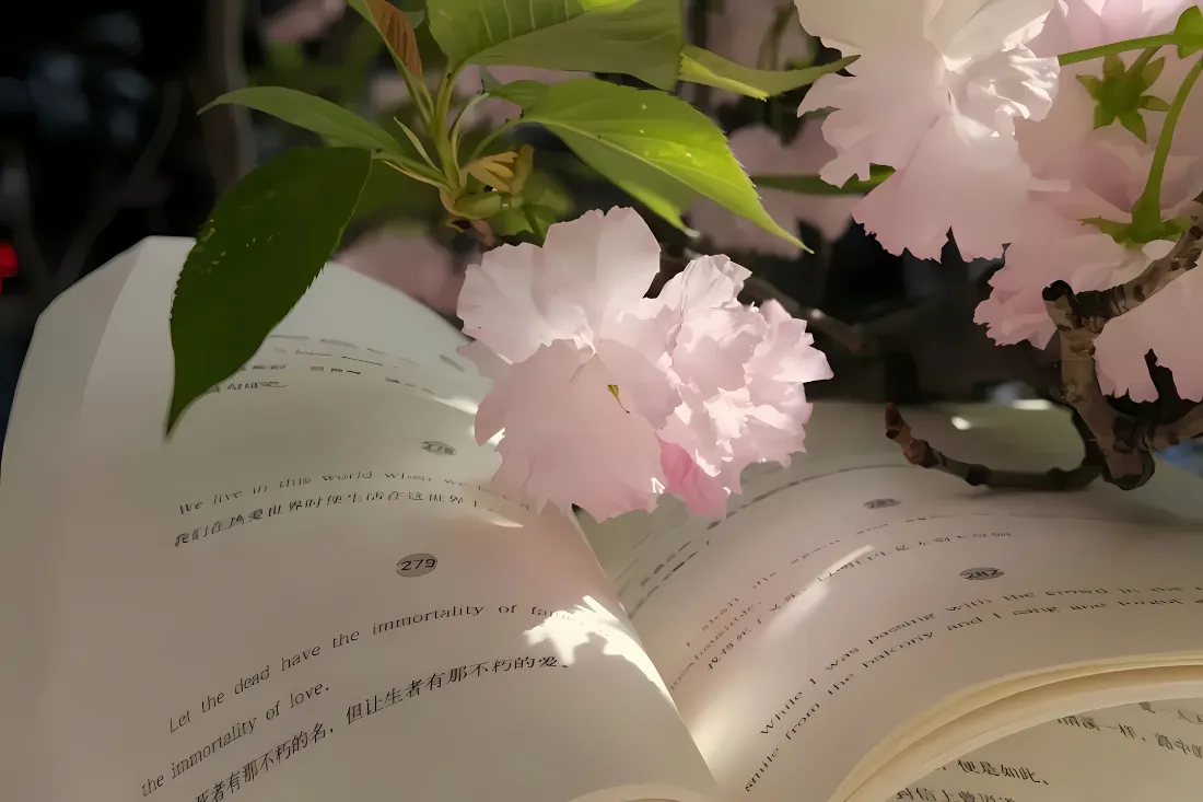 2k樱花壁纸｜书页场景背景图片 - 清新治愈「哲风壁纸」