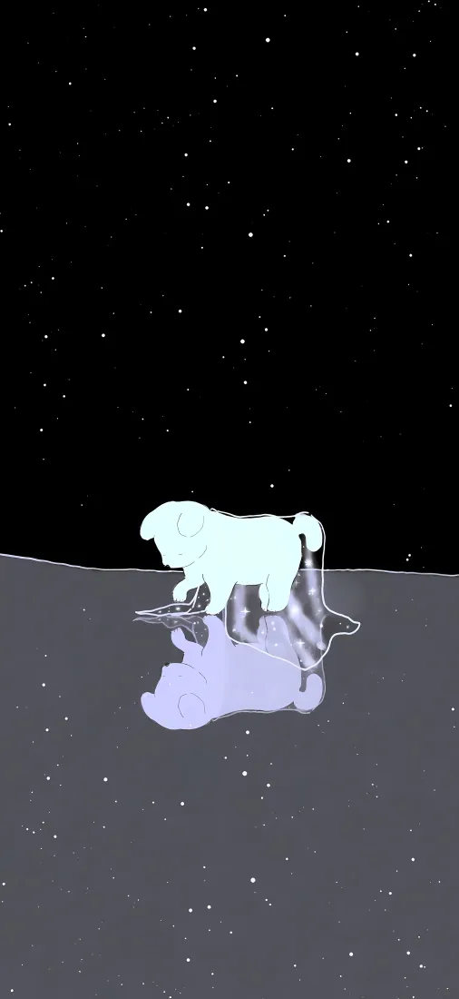 发光小猫手机壁纸｜星空水面倒影背景图片 - 可爱治愈萌宠「哲风壁纸」