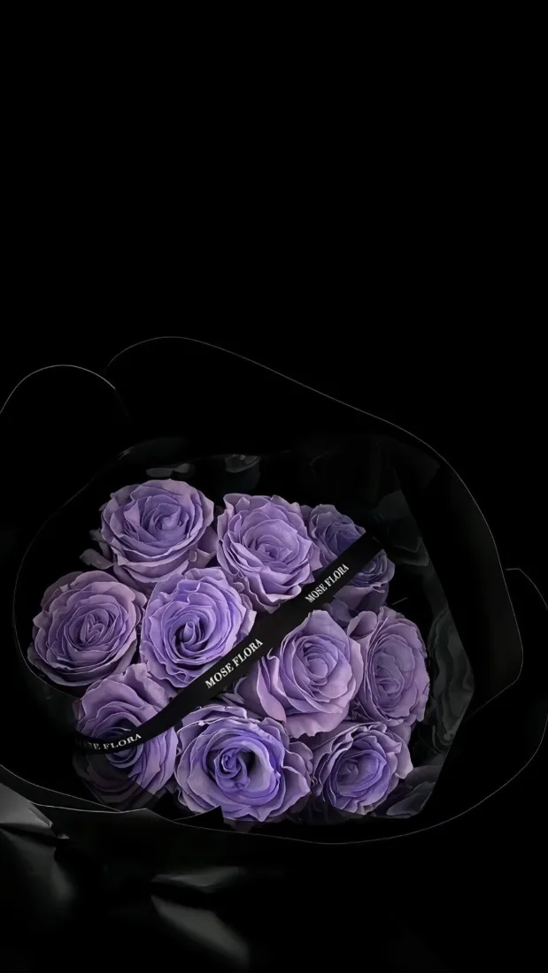 紫玫瑰花束手机壁纸｜黑色高级感背景图片 - 浪漫氛围感「哲风壁纸」