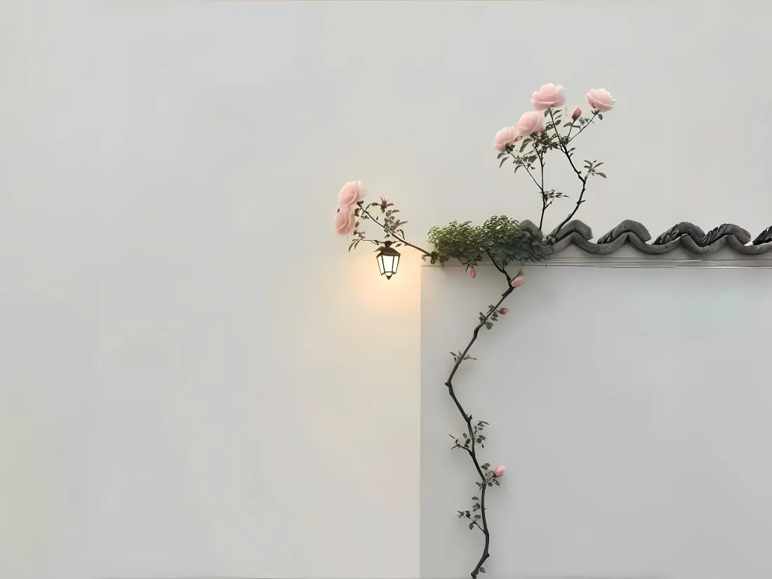 6k蔷薇壁纸｜白墙屋檐壁灯背景图片 - 简约新小清新「哲风壁纸」
