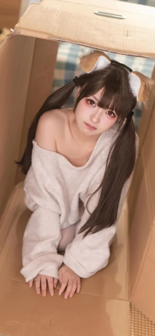 猫耳少女手机壁纸｜居家纸箱背景图片 - 软萌双马尾女孩「哲风壁纸」