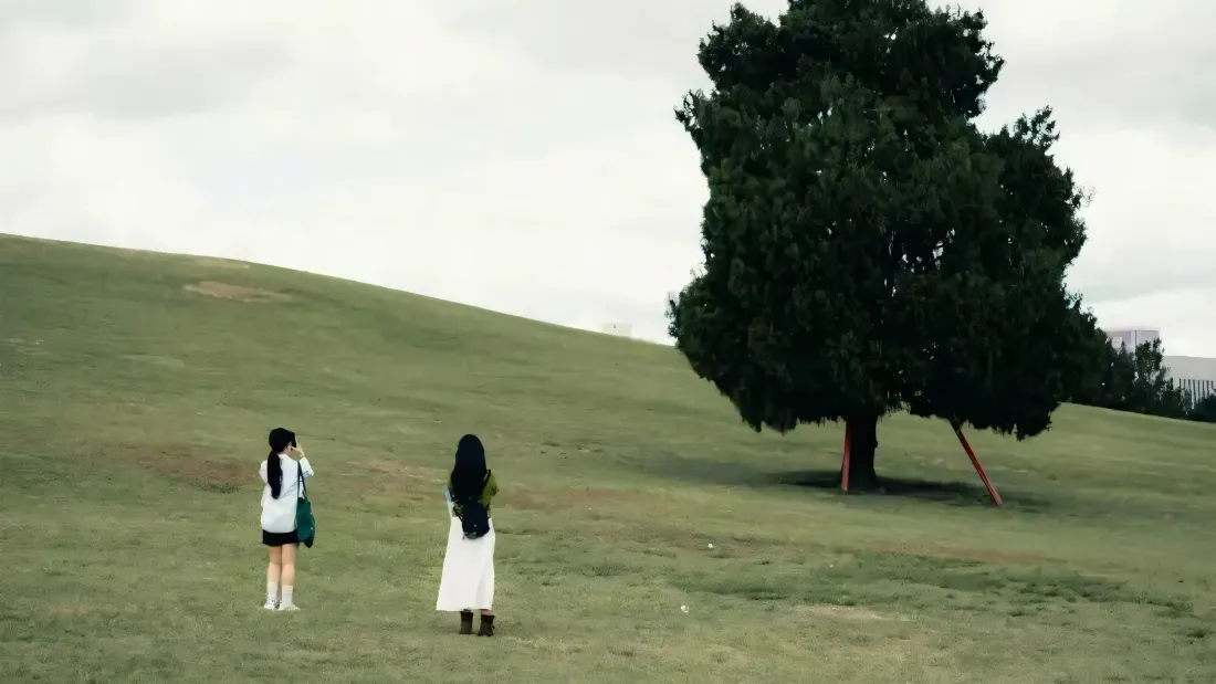 2k郊外治愈壁纸｜草地大树背景图片 - 缓坡少女休闲时光「哲风壁纸」