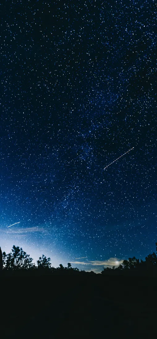 星空手机壁纸｜夜晚流星树林背景图片 - 繁星闪耀深空夜景「哲风壁纸」