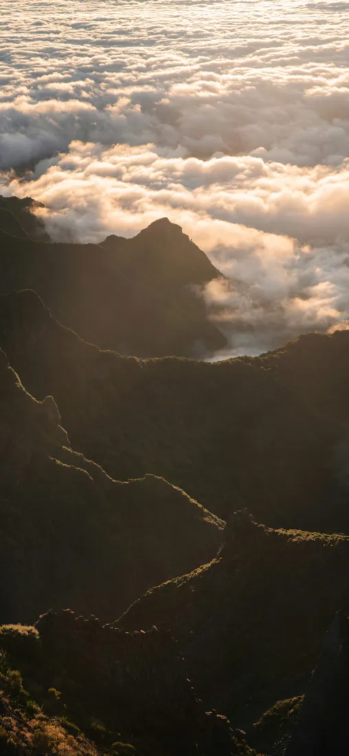 高山云海手机壁纸｜山川风景背景图片 - 日落霞光「哲风壁纸」