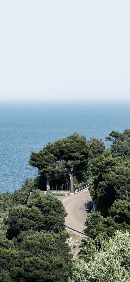 临海公路手机壁纸｜蓝天树林背景图片 - 清新自然海滨风景「哲风壁纸」