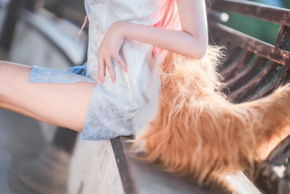 4k玉藻前壁纸｜Fate cosplay背景图片 - 三度_69白色旗袍「哲风壁纸」