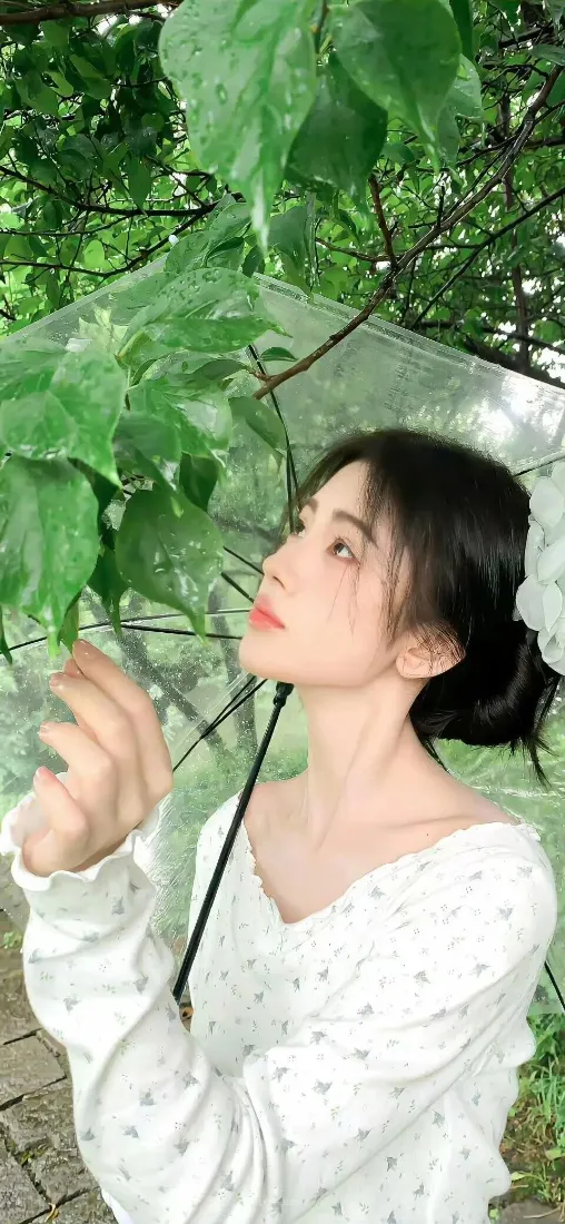 鞠婧祎手机壁纸｜户外绿植背景图片 - 透明伞清新人像写真「哲风壁纸」