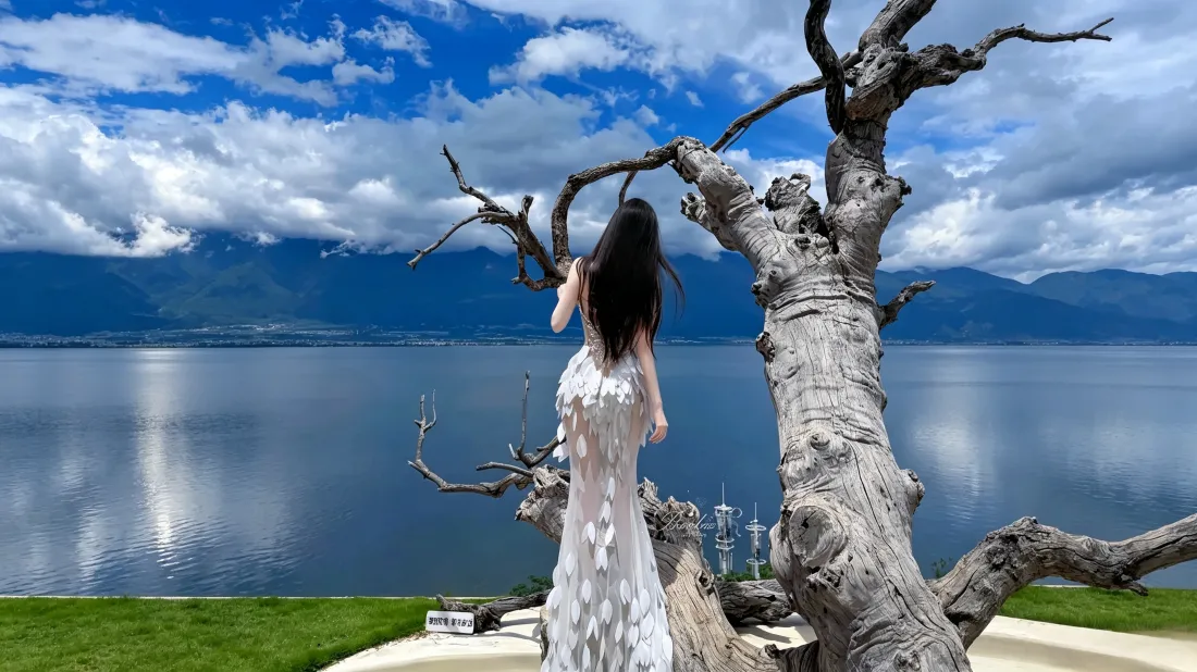 3k白裙少女壁纸｜湖边枯树背景图片 - 治愈自然风景「哲风壁纸」