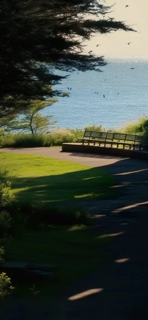 湖边治愈休闲风景手机壁纸｜林荫长椅草地背景图片 - 清爽舒适「哲风壁纸」