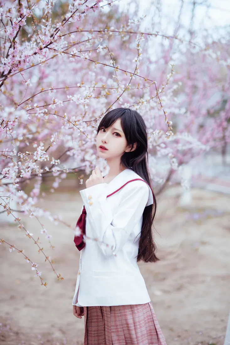 Shika小鹿鹿手机壁纸｜樱花背景图片 - 白色JK少女写真「哲风壁纸」