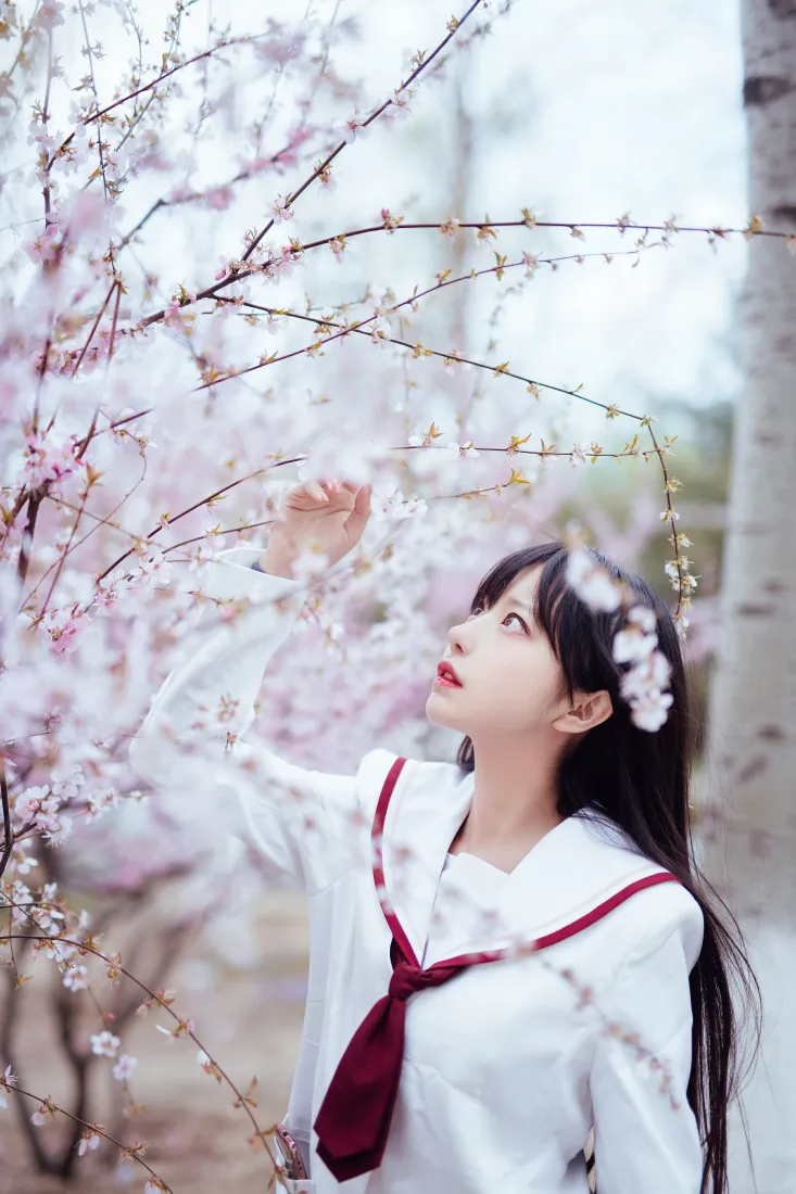 Shika小鹿鹿手机壁纸｜樱花JK少女背景图片 - 户外清纯写真「哲风壁纸」