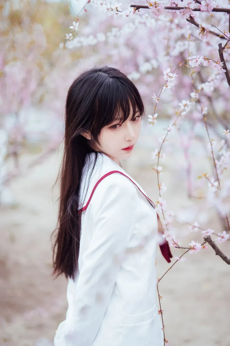 Shika小鹿鹿手机壁纸｜樱花树下背景图片 - 白色JK少女写真「哲风壁纸」