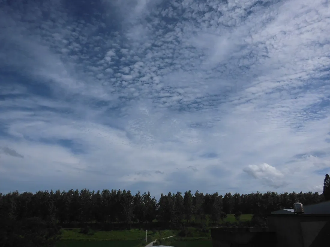5k自然风景壁纸｜蓝天白云背景图片 - 林间草地「哲风壁纸」