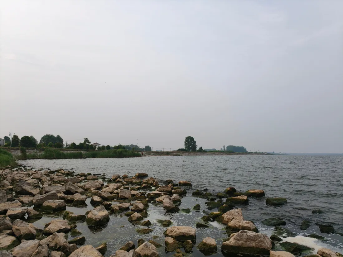 4k湖边岸滩风景壁纸｜阴天礁石树木背景图片 - 自然户外风光「哲风壁纸」