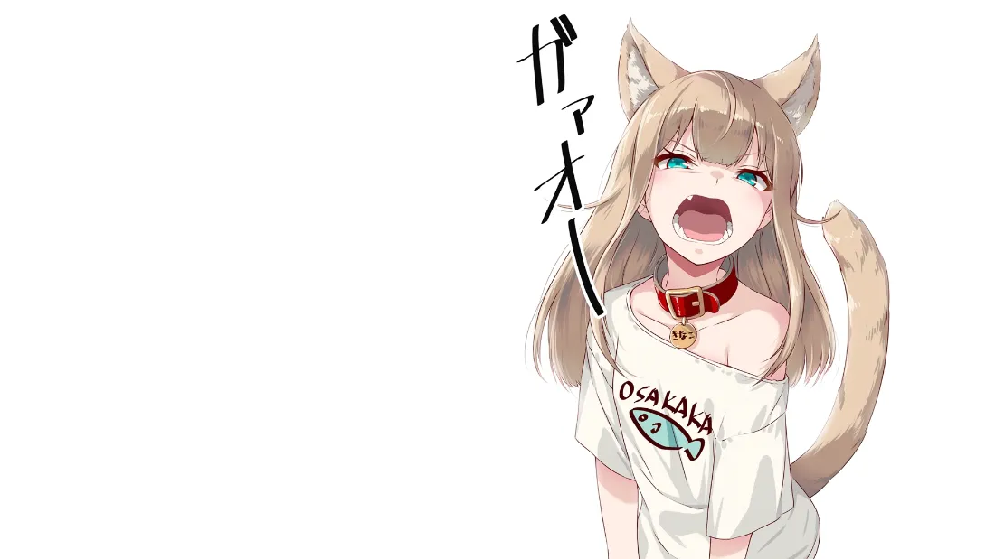 2k兽耳猫娘壁纸｜白色背景图片 - 二次元软萌可爱少女「哲风壁纸」