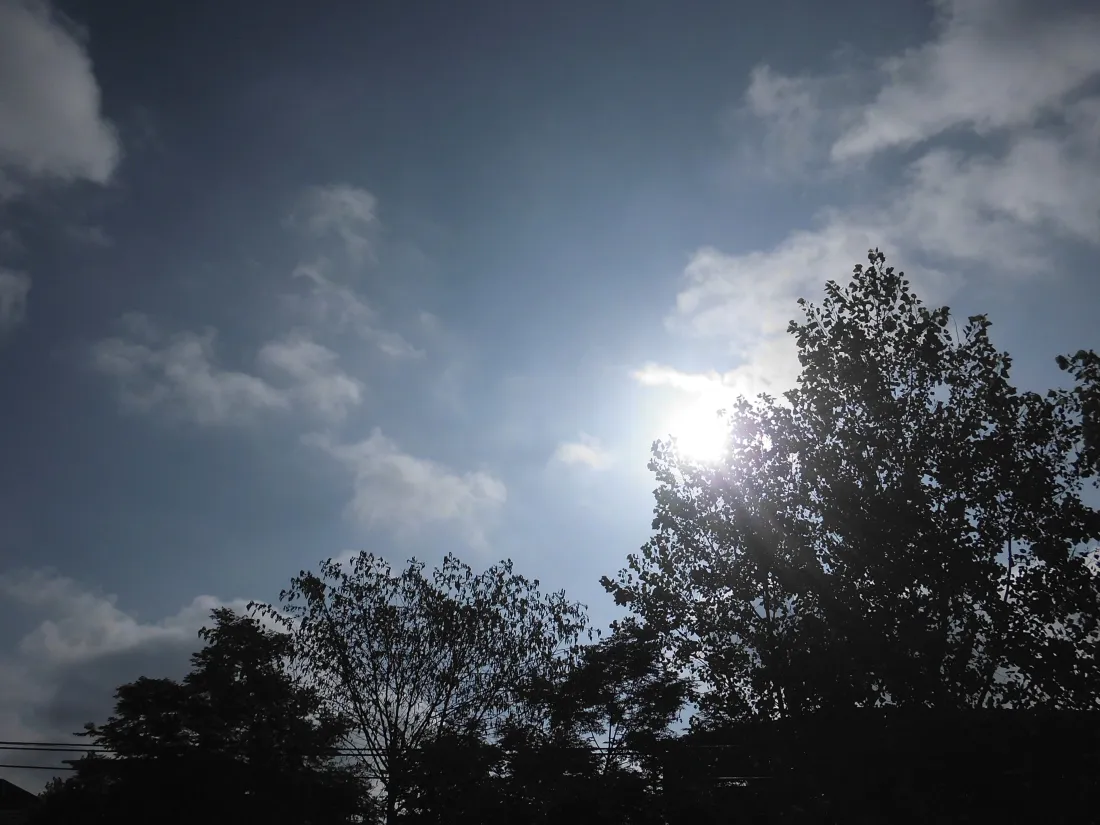 5k晴朗天空壁纸｜树木云朵背景图片 - 户外自然日光风景「哲风壁纸」