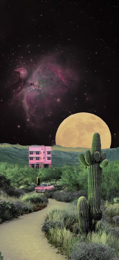 星空荒漠手机壁纸｜仙人掌满月背景图片 - 旷野夜景「哲风壁纸」