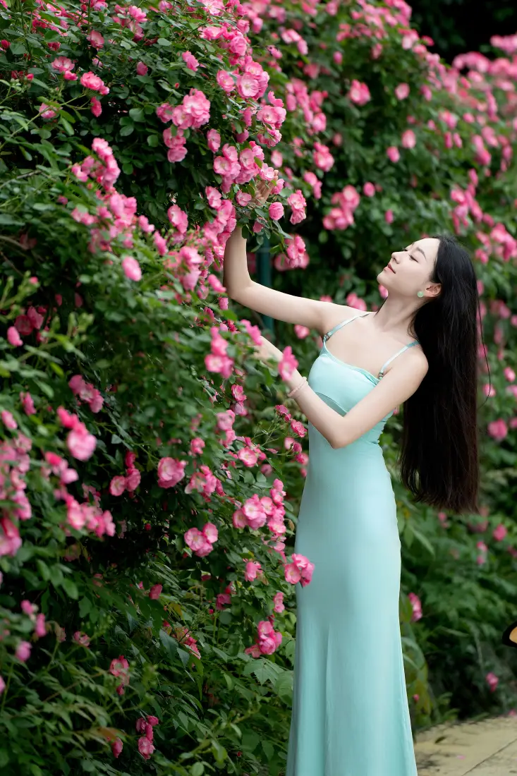 气质美女手机壁纸｜蔷薇花墙背景图片 - 夏日阳光清新人像「哲风壁纸」