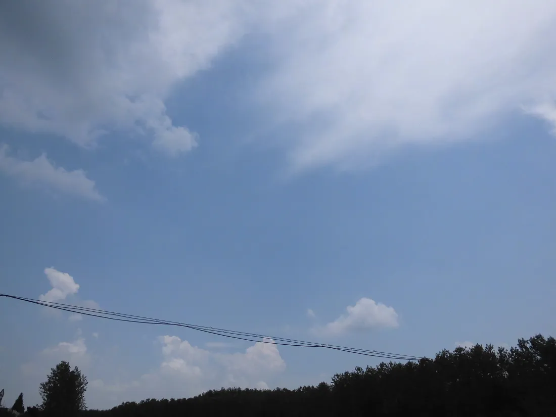 5k蓝天白云壁纸｜树梢户外背景图片 - 晴朗自然风景「哲风壁纸」