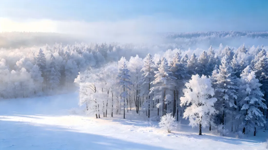 3k冬日雪林壁纸｜冬日雪景背景图片 - 自然森林雾凇风光「哲风壁纸」