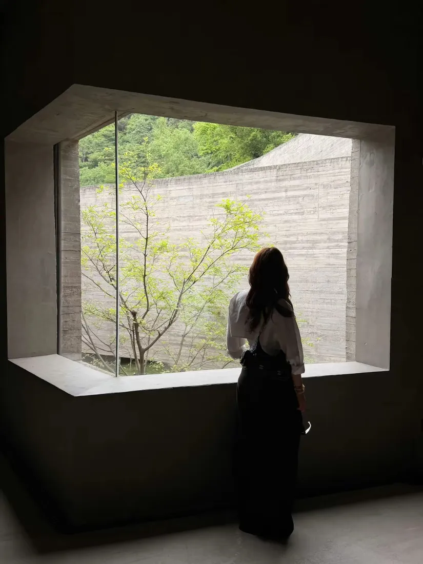 观景女生手机壁纸｜落地窗外绿植背景图片 - 治愈休闲氛围「哲风壁纸」