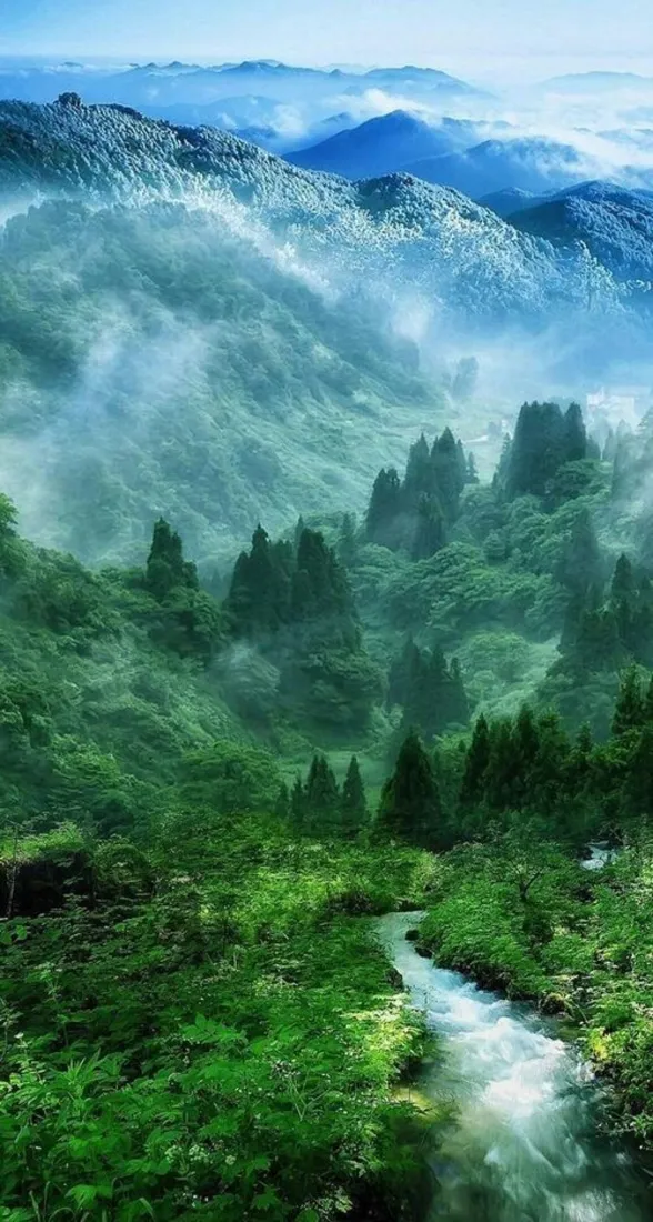 群山叠翠手机壁纸｜幽静苍翠山林背景图片 - 云雾溪流自然风光「哲风壁纸」